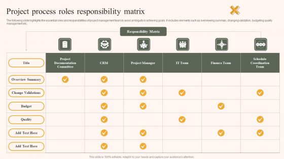 Project Process Roles Responsibility Matrix Ppt Pictures Grid PDF