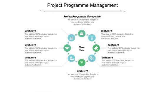 Project Programme Management Ppt PowerPoint Presentation Design Templates Cpb