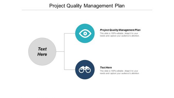 Project Quality Management Plan Ppt PowerPoint Presentation Styles Background Designs Cpb