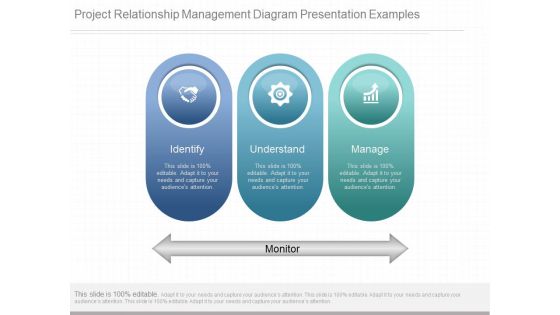 Project Relationship Management Diagram Presentation Examples