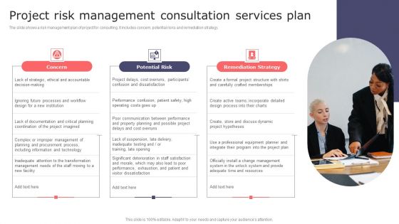 Project Risk Management Consultation Services Plan Elements PDF