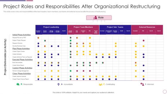 Project Roles And Responsibilities After Organizational Restructuring Ppt PowerPoint Presentation File Format PDF