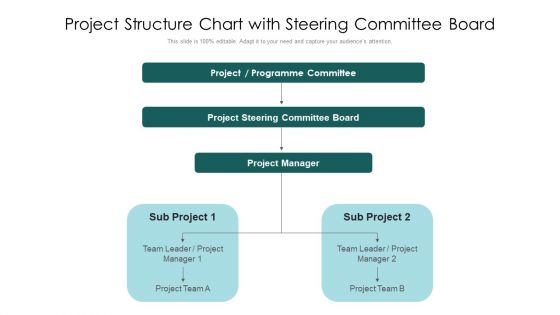 Project Structure Chart With Steering Committee Board Ppt PowerPoint Presentation File Examples PDF