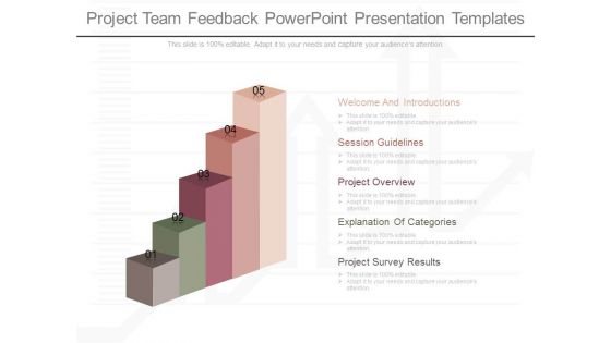 Project Team Feedback Powerpoint Presentation Templates