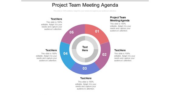 Project Team Meeting Agenda Ppt PowerPoint Presentation Portfolio Sample Cpb Pdf