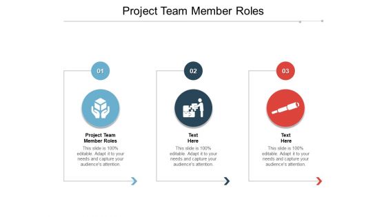 Project Team Member Roles Ppt PowerPoint Presentation Pictures Design Templates Project Team Member Roles Ppt PowerPoint Presentation Pictures Design Templates