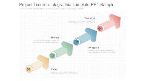 Project Timeline Infographic Template Ppt Sample