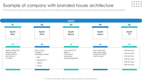 Promotional Techniques To Market Several Brands Among Target Groups Example Of Company Background PDF