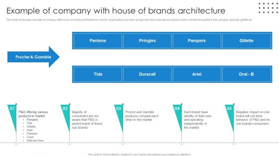 Promotional Techniques To Market Several Brands Among Target Groups Example Of Company With House Summary PDF