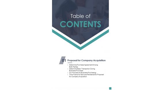 Proposal For Company Acquisition Table Of Contents One Pager Sample Example Document