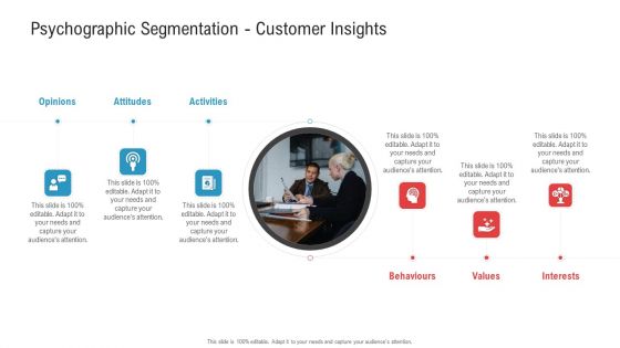 Psychographic Segmentation Customer Insights Ppt Layouts Graphics Download PDF