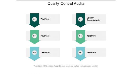 Quality Control Audits Ppt PowerPoint Presentation Show Cpb
