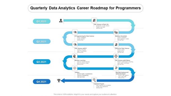 Quarterly Data Analytics Career Roadmap For Programmers Icons