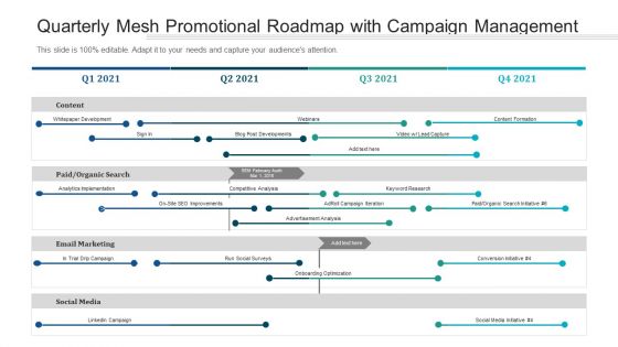 Quarterly Mesh Promotional Roadmap With Campaign Management Background