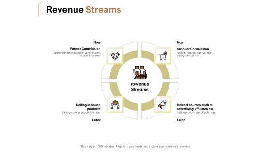 Raise Capital For Business Revenue Streams Ppt Summary Professional PDF