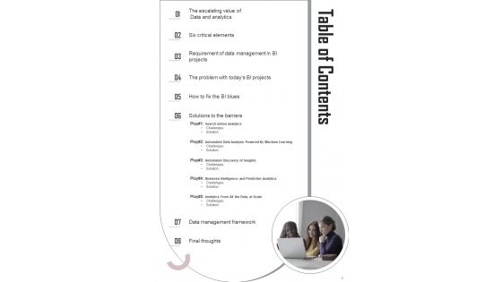 Regulated Data And Analytical Accuracy Playbook Template