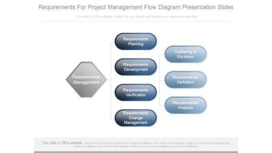 Requirements For Project Management Flow Diagram Presentation Slides