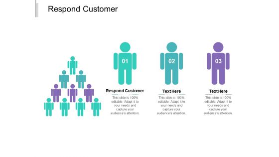 Respond Customer Ppt PowerPoint Presentation Professional Portrait Cpb