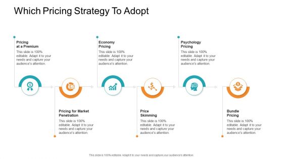 Retail Sector Introduction Which Pricing Strategy To Adopt Sample PDF
