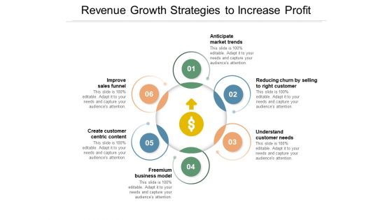 Revenue Growth Strategies To Increase Profit Ppt PowerPoint Presentation Gallery Outline