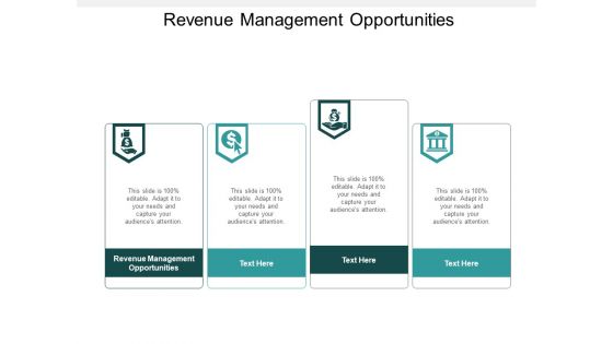Revenue Management Opportunities Ppt PowerPoint Presentation Styles Shapes Cpb