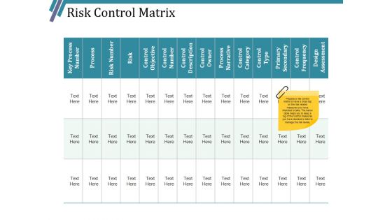 Risk Control Matrix Ppt PowerPoint Presentation Infographic Template Outfit
