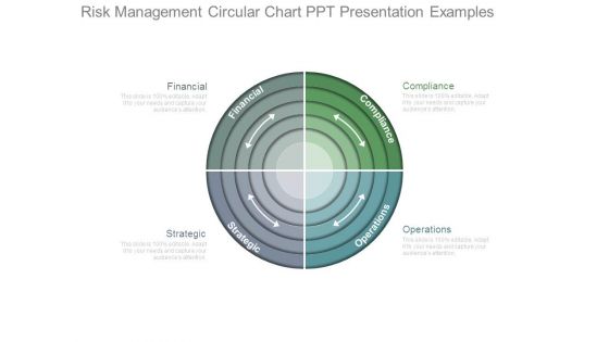 Risk Management Circular Chart Ppt Presentation Examples