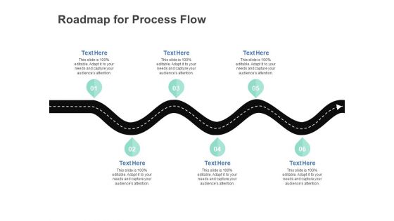 Roadmap For Process Flow Ppt PowerPoint Presentation Summary Background Designs Roadmap For Process Flow Ppt PowerPoint Presentation Summary Background Designs