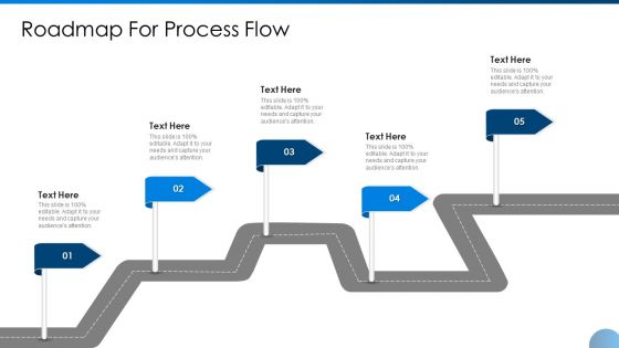 Roadmap For Process Flow Ppt Show Designs PDF