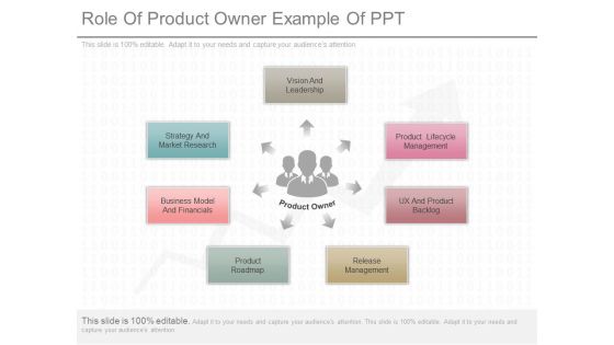 Role Of Product Owner Example Of Ppt