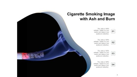 Role Of Tobacco Gas Presence Smoking Ppt PowerPoint Presentation Complete Deck