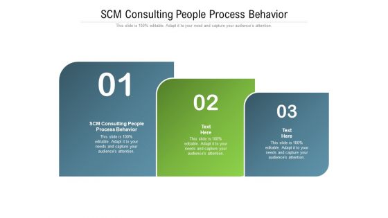 SCM Consulting People Process Behavior Ppt PowerPoint Presentation Layouts Inspiration Cpb Pdf