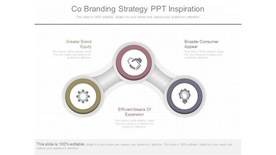 Co Branding Strategy Ppt Inspiration