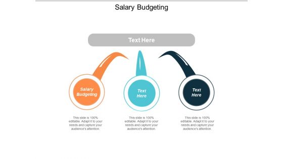 Salary Budgeting Ppt Powerpoint Presentation Professional Slideshow