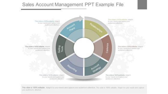 Sales Account Management Ppt Example File