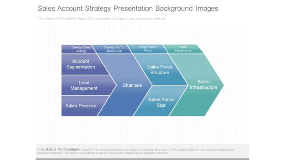 Sales Account Strategy Presentation Background Images Sales Account Strategy Presentation Background Images