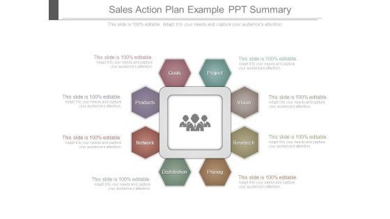 Sales Action Plan Example Ppt Summary