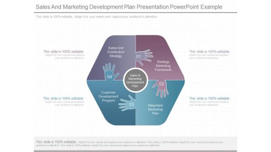Sales And Marketing Development Plan Presentation Powerpoint Example