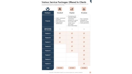 Sales And Marketing Guidelines Playbook Template