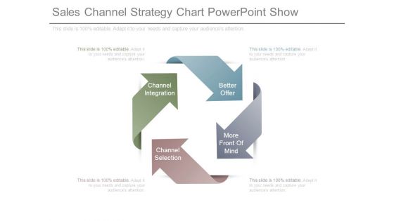 Sales Channel Strategy Chart Powerpoint Show