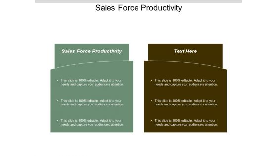 Sales Force Productivity Ppt Powerpoint Presentation Pictures Cpb