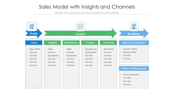 Sales Model With Insights And Channels Ppt PowerPoint Presentation Show Information PDF