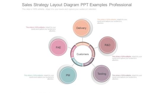 Sales Strategy Layout Diagram Ppt Examples Professional