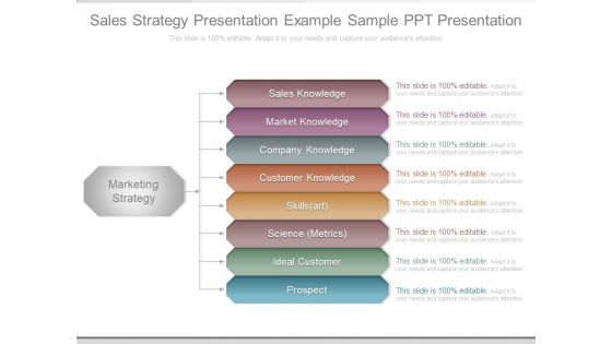 Sales Strategy Presentation Example Sample Ppt Presentation Sales Strategy Presentation Example Sample Ppt Presentation