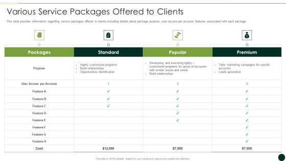 Salesman Principles Playbook Various Service Packages Offered To Clients Summary PDF