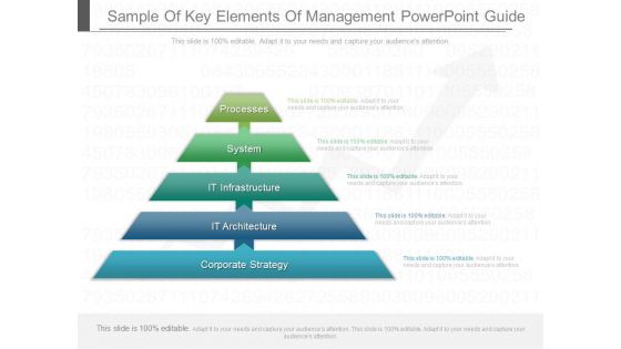 Sample Of Key Elements Of Management Powerpoint Guide