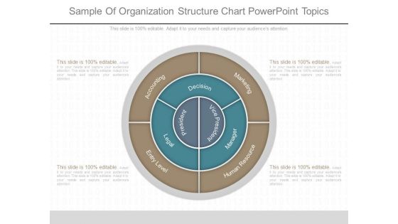 Sample Of Organization Structure Chart Powerpoint Topics