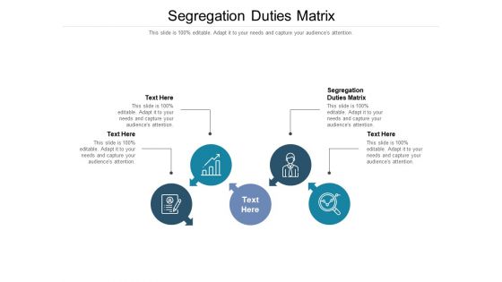 Segregation Duties Matrix Ppt PowerPoint Presentation Inspiration Example Introduction Cpb Pdf