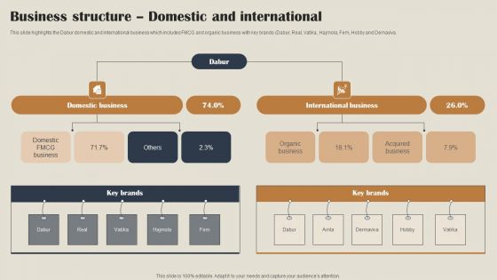 Self Care Products Company Outline Business Structure Domestic And International Structure PDF
