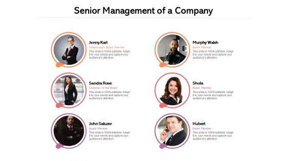 Senior Management Of A Company Ppt PowerPoint Presentation Model Microsoft PDF